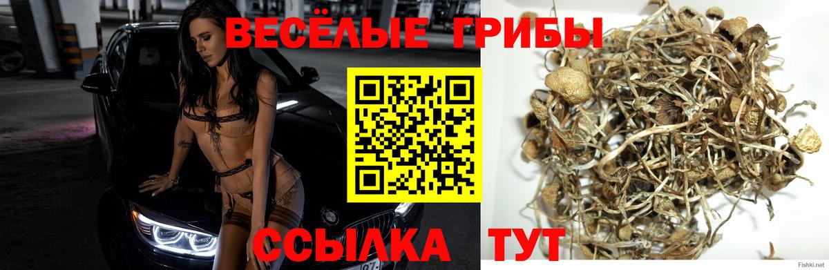Галлюциногенные грибы мицелий Элиста