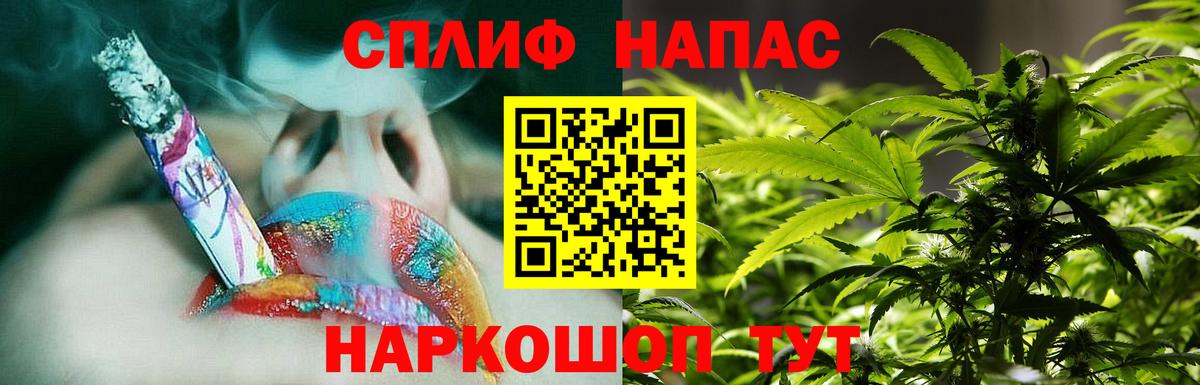 Конопля планчик Элиста